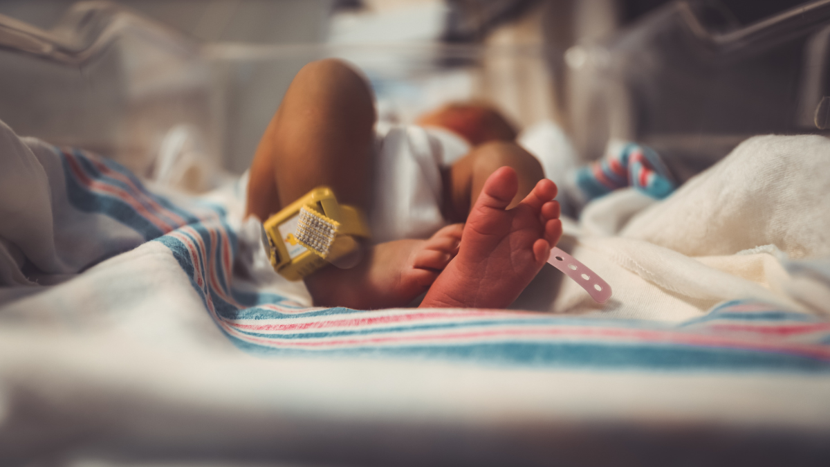 Pro-abortion media reaches the point of lunacy where reason on facts are of no concern.